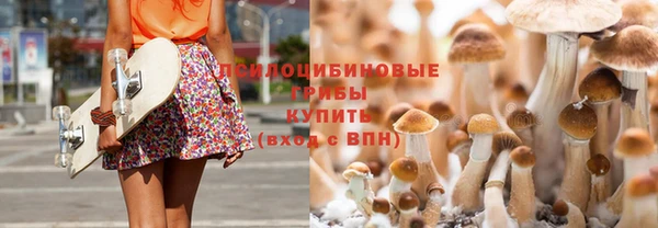 СК Наволоки