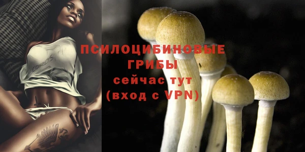 дмт Навашино