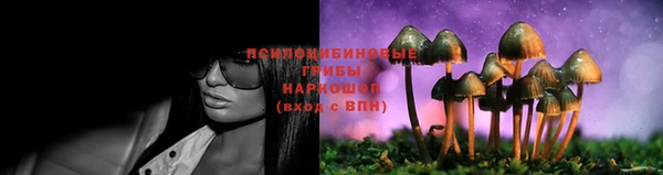 дмт Навашино