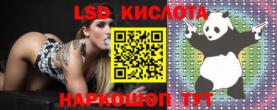 прущие грибы Аргун