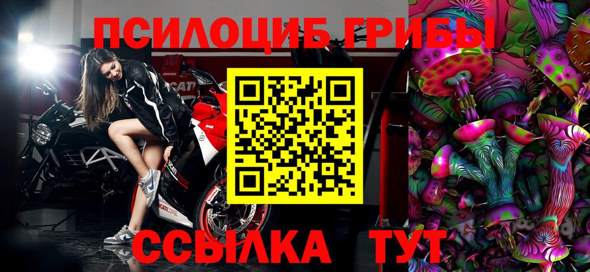 Псилоцибиновые грибы Psilocybe  Хабаровск 