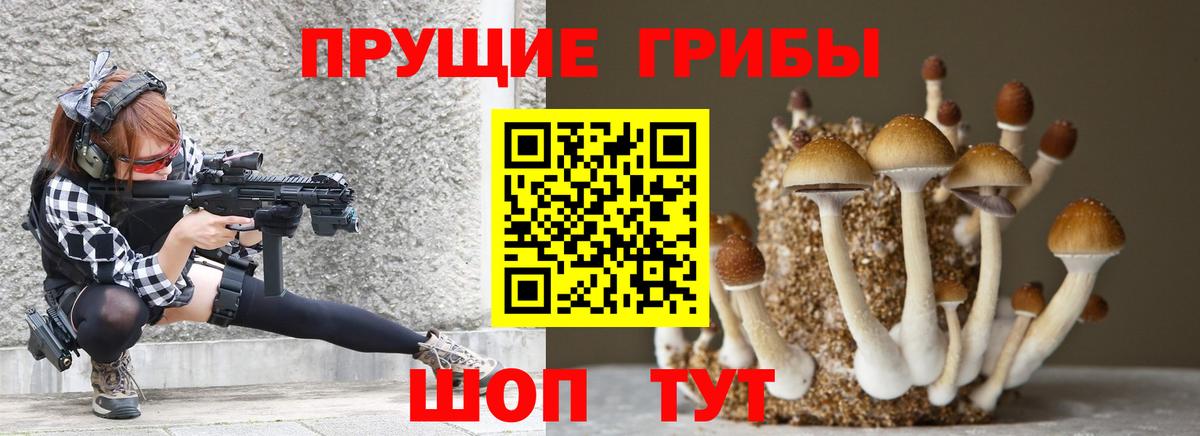 Хабаровск  Галлюциногенные грибы Psilocybine cubensis  Галлюциногенные грибы Psilocybine cubensis  Вход с VPN 