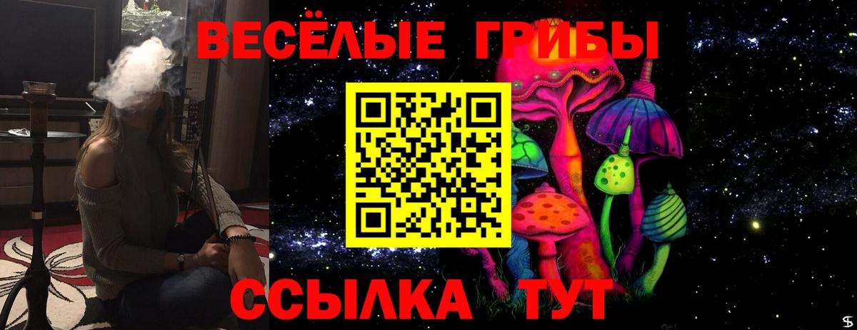 Галлюциногенные грибы Psilocybine cubensis Хабаровск