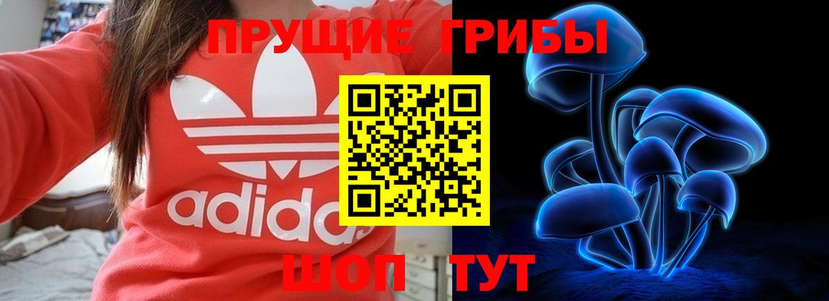 Псилоцибиновые грибы GOLDEN TEACHER Хабаровск