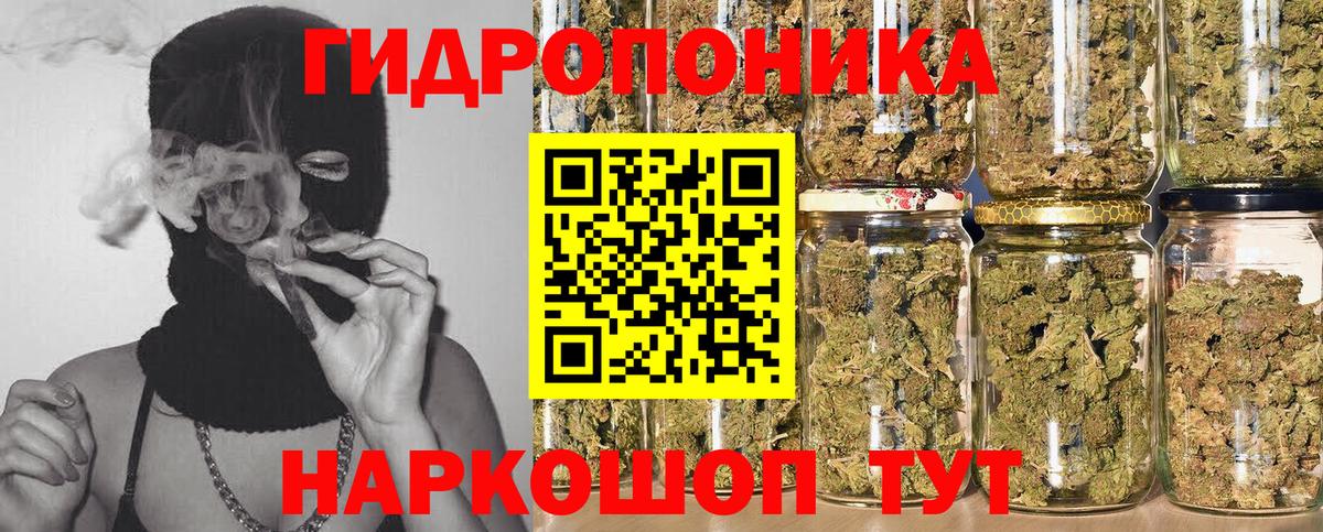 Конопля Bruce Banner Хабаровск